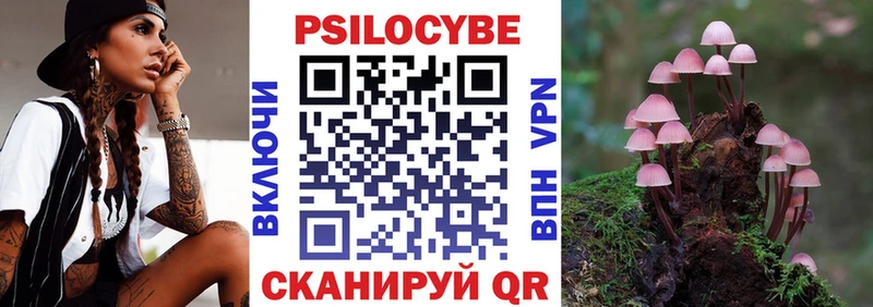 Галлюциногенные грибы Psilocybine cubensis  купить закладку  Лесосибирск 